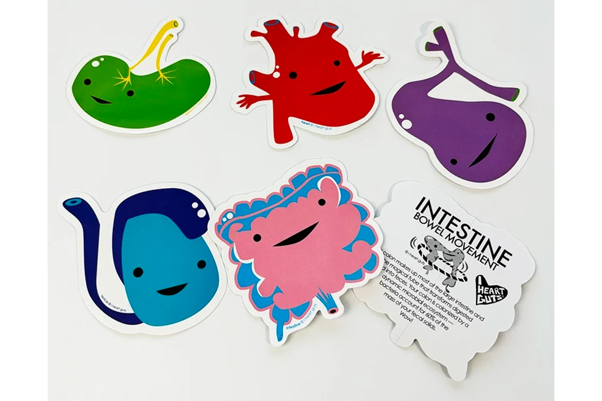 Colorful die-cut sticker samples showing printed faces and a white reverse.