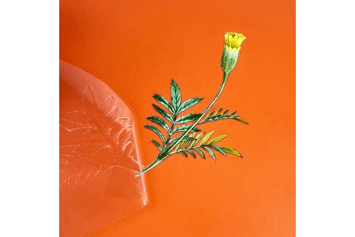 Clear film lifted from a fine leaf and flower design on an orange surface.